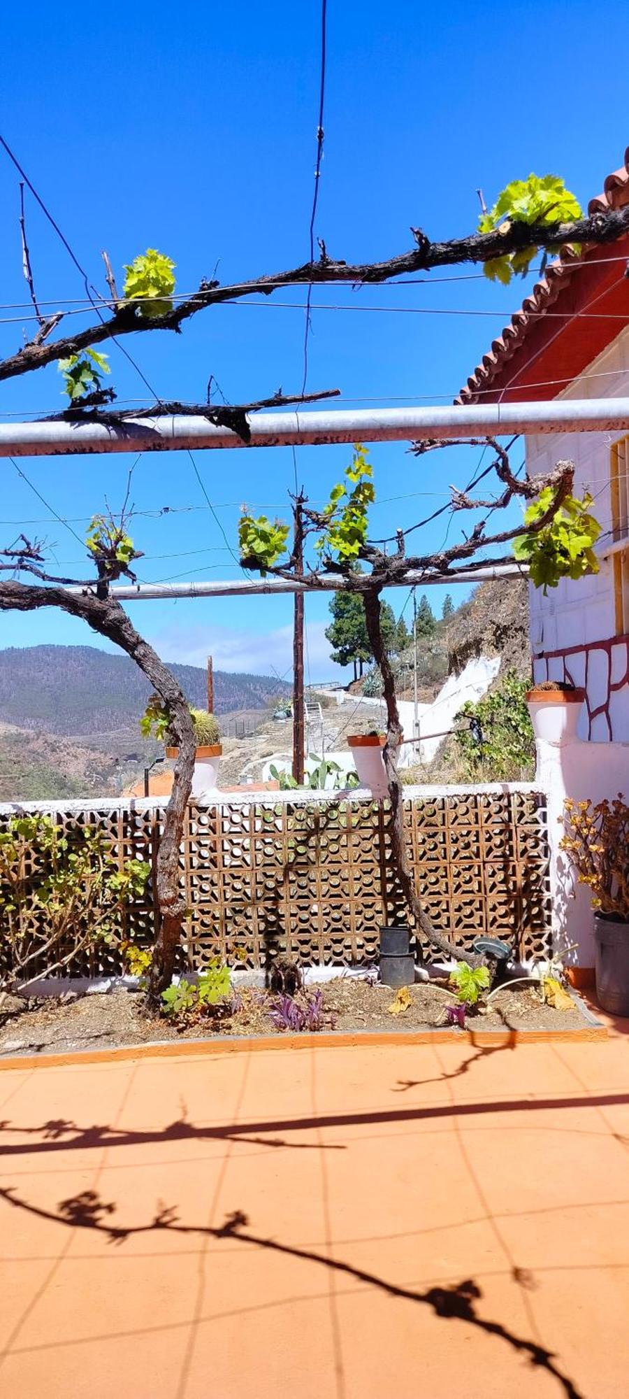 Casa Cueva Rural Trebola, Artenara Juncalillo Exterior photo